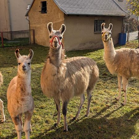 Ferienwohnungen Satkula Crostwitz Bagian luar foto