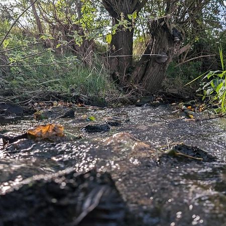 Ferienwohnungen Satkula Crostwitz Bagian luar foto