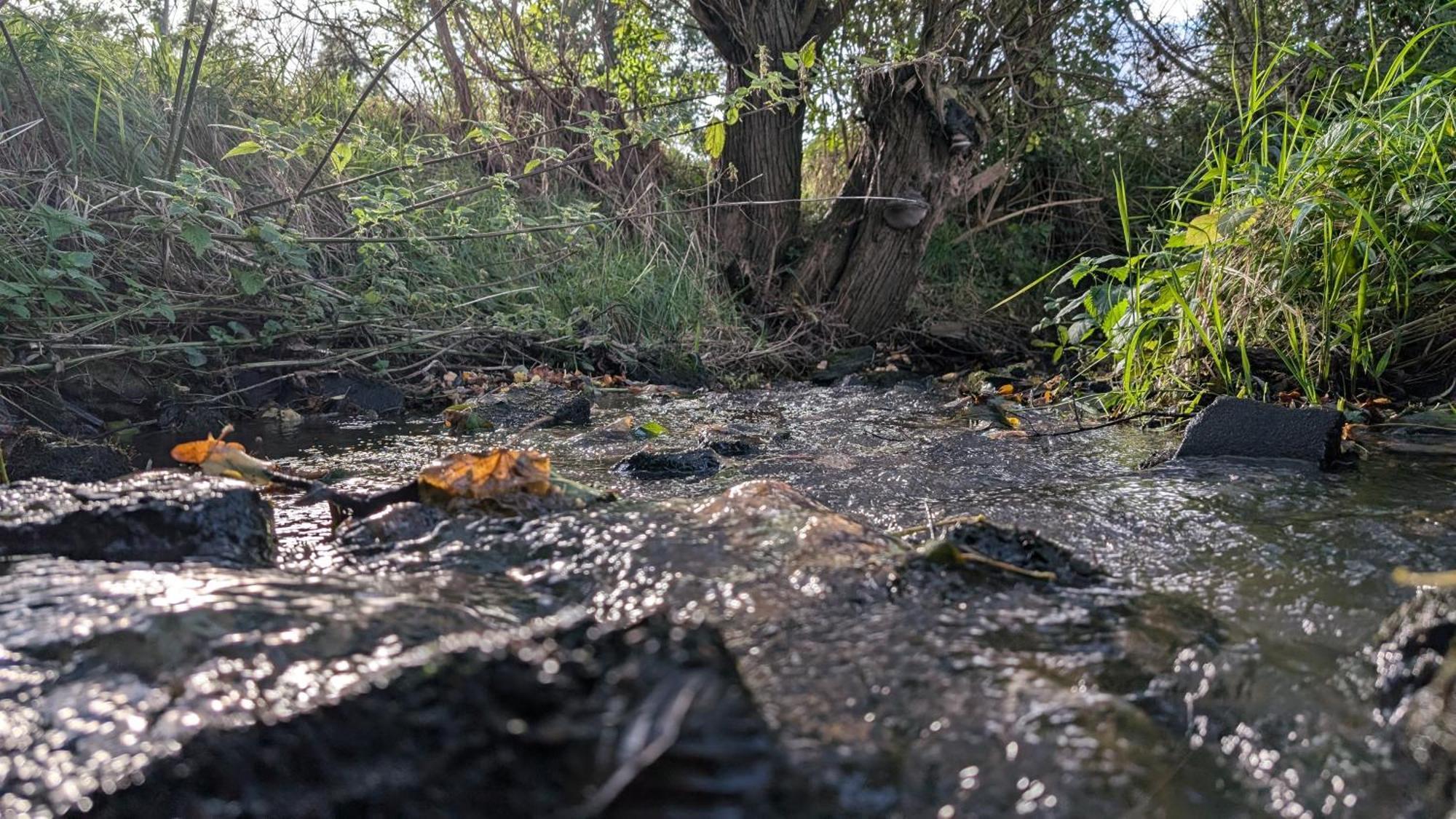 Ferienwohnungen Satkula Crostwitz Bagian luar foto
